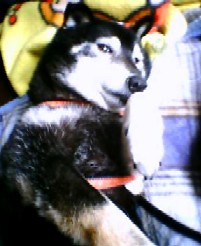 200624ya.jpg
